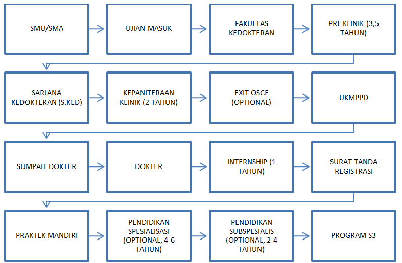 Jalan Panjang Menjadi Dokter Hired Today