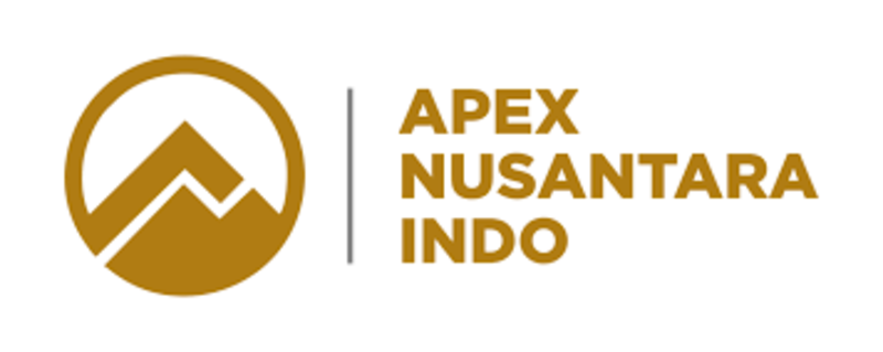 PT Apex Nusantara Indo Logo