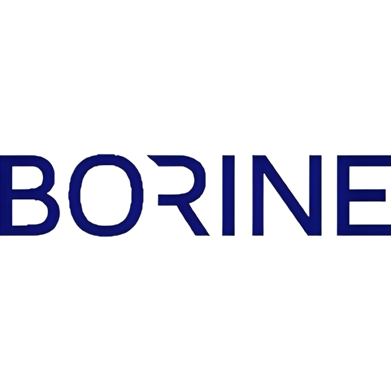 PT Borine Technology Indonesia Logo