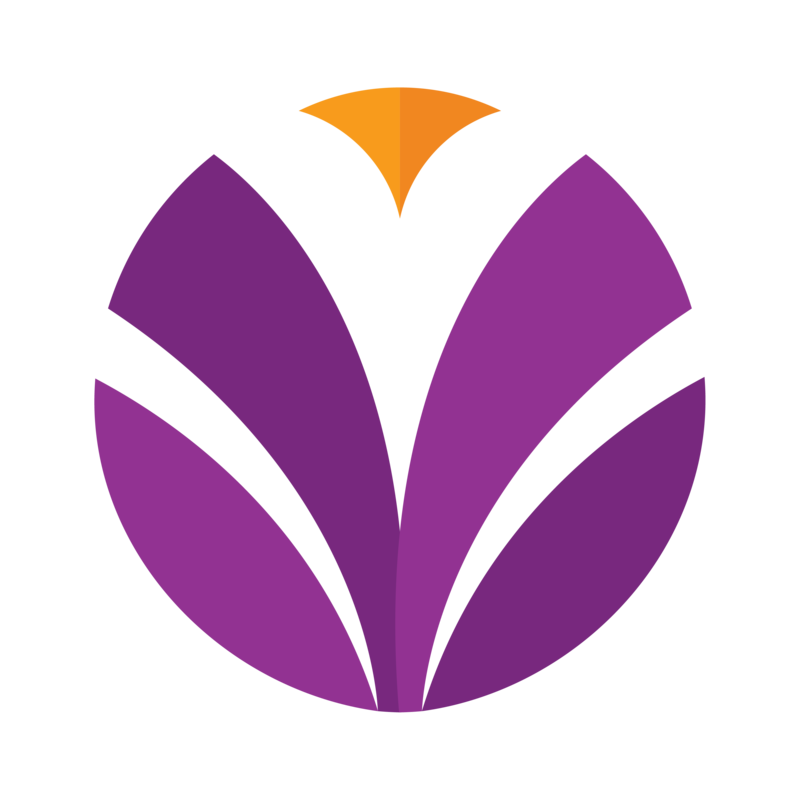 BINAR Logo